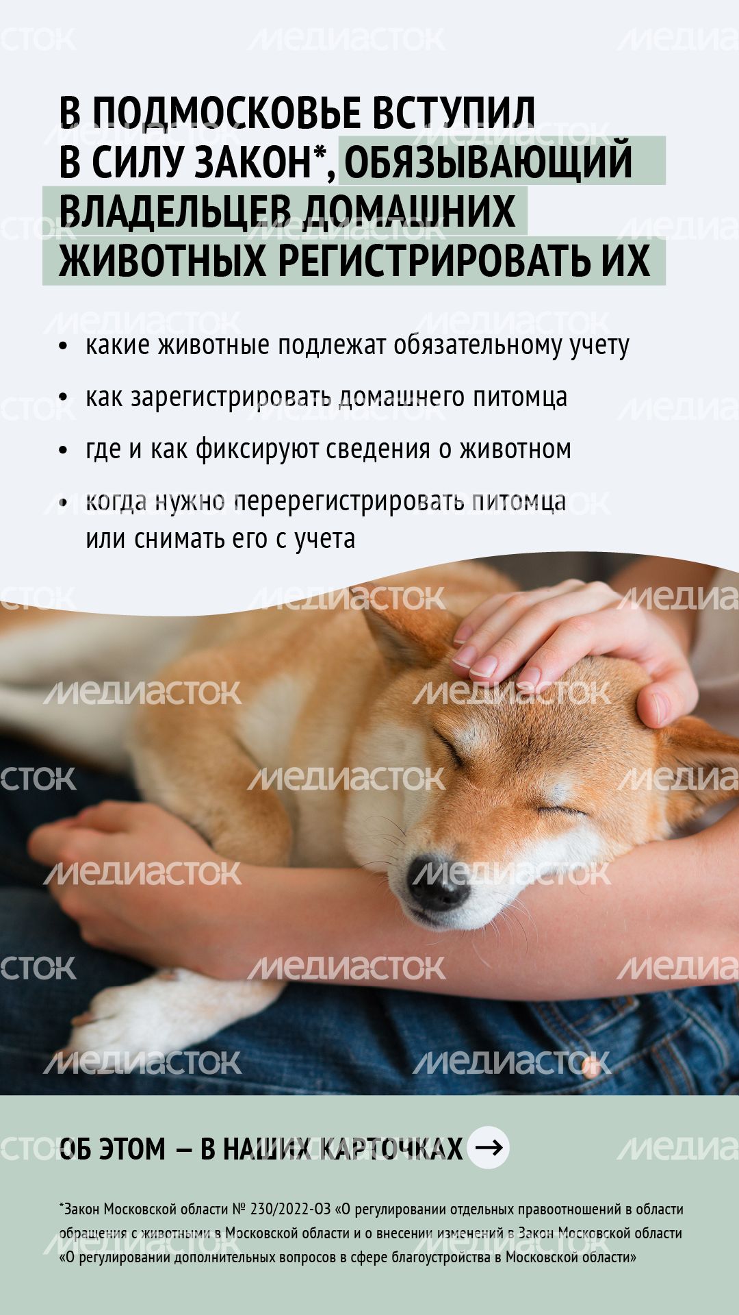 Зарегистрировать домашнее животное ред 2-вертикаль-02.png Зарегистрировать домашнее животное ред 2-вертикаль-02.png