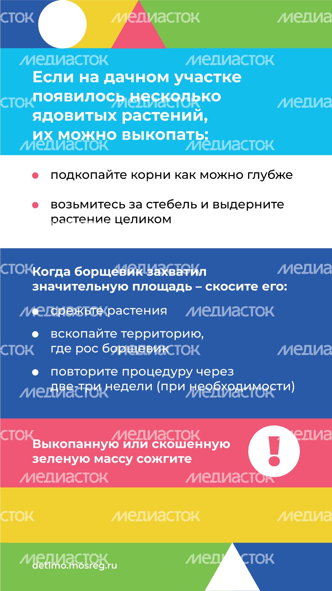 Вертикаль_Борщевик Сосновского_09.png