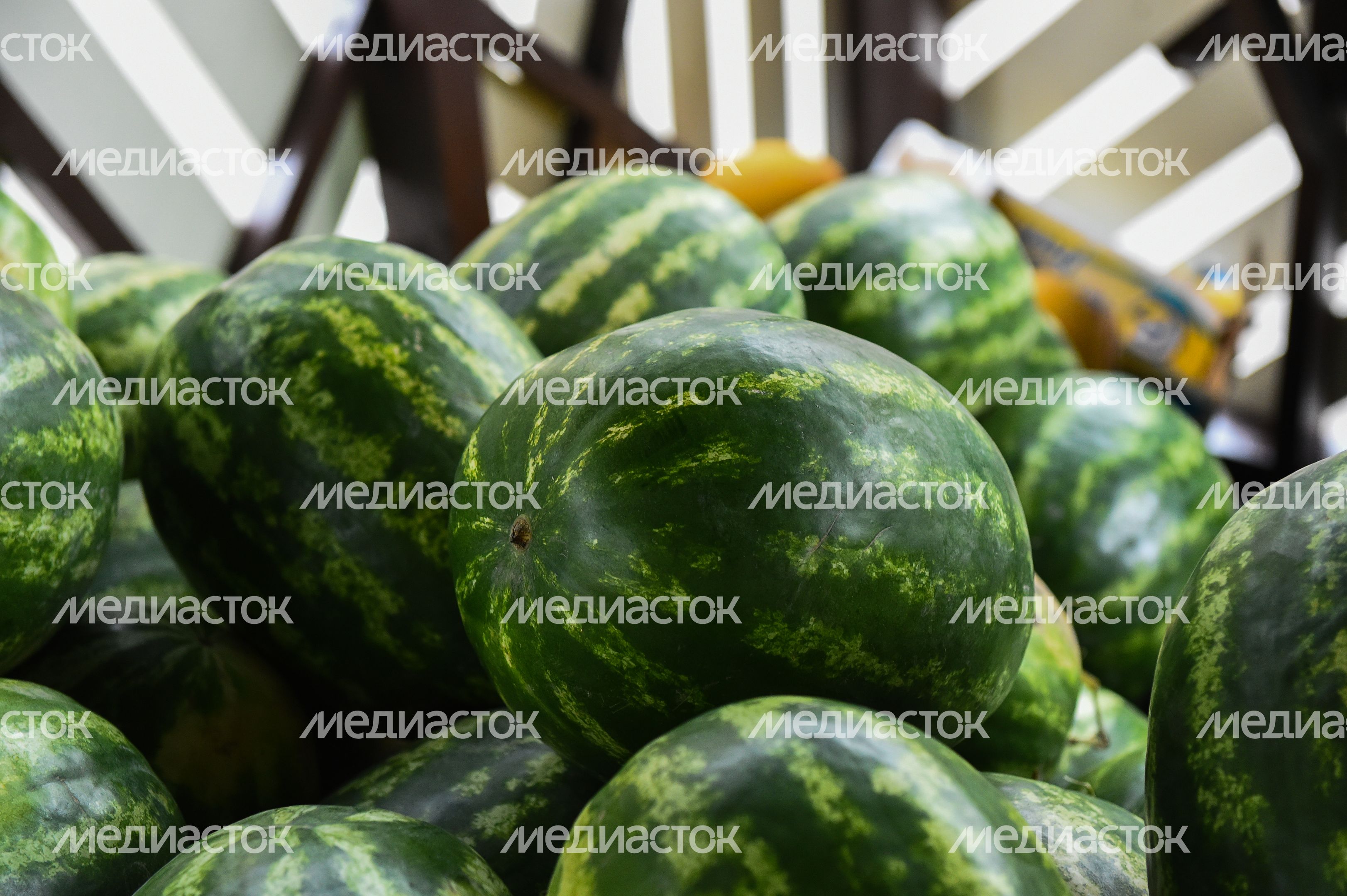 Открытие сезона бахчевых 2019 в Москве