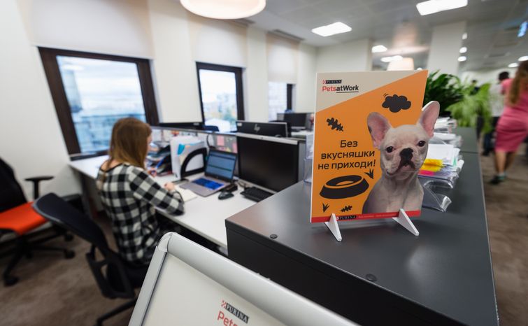 Pet‑friendly офис Purina