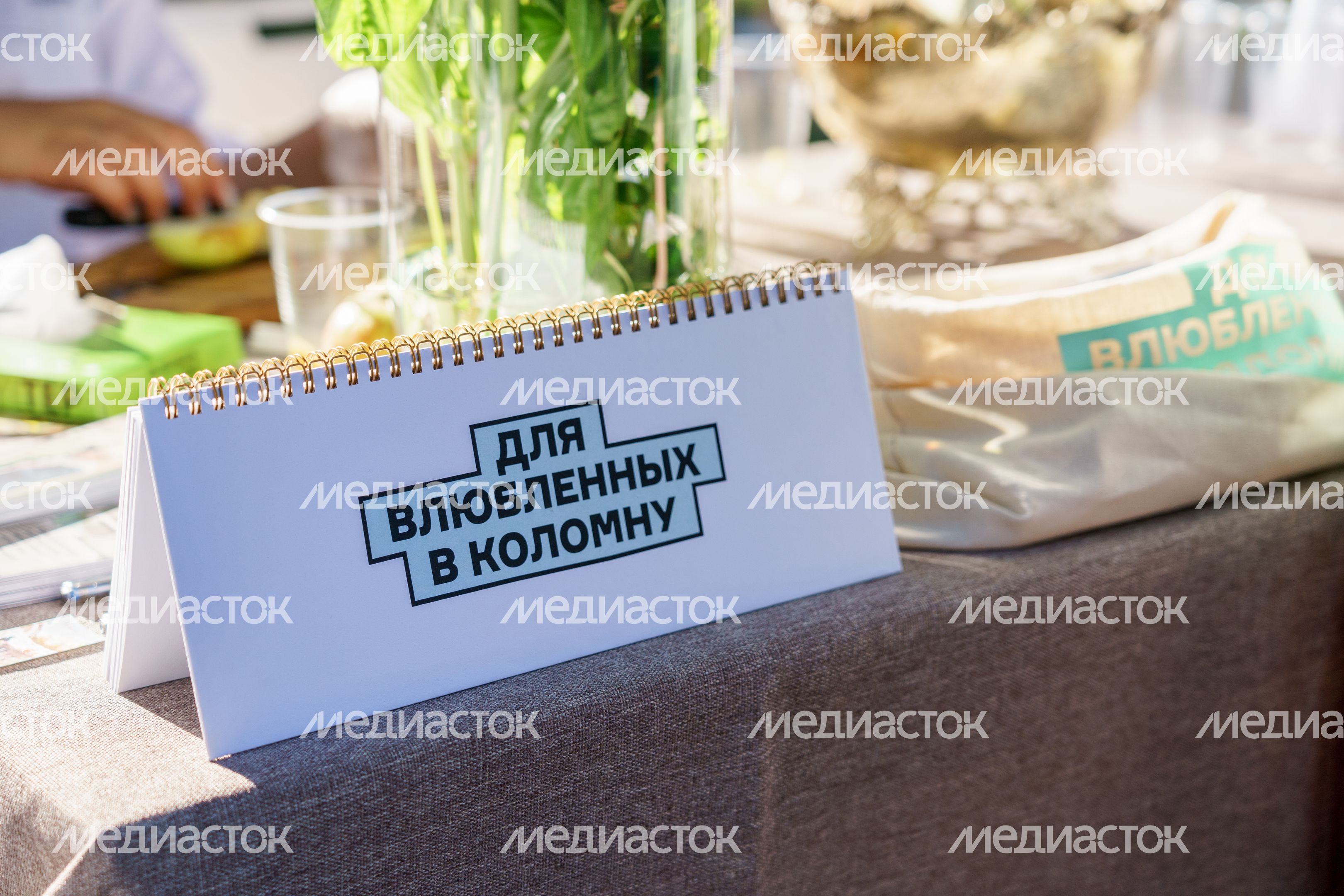 XII Международный яблочно-книжный фестиваль прошел  в Коломне