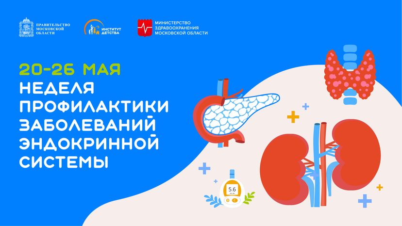 20-26 мая Неделя профилактики заболеваний эндокринной системы горизонталь