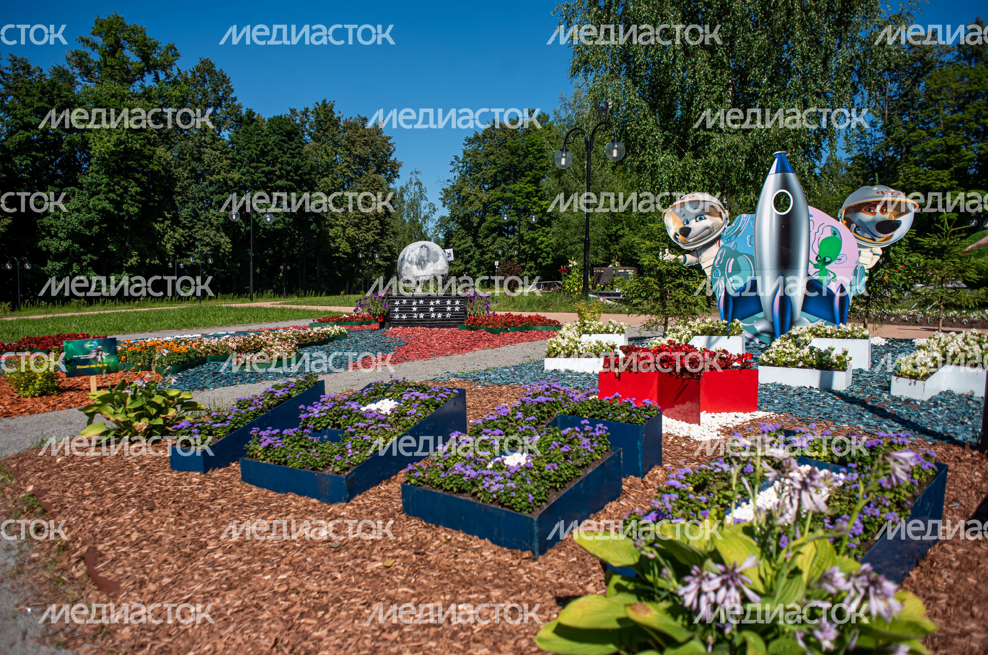 Летние виды Сестрорецкого парка в Клину