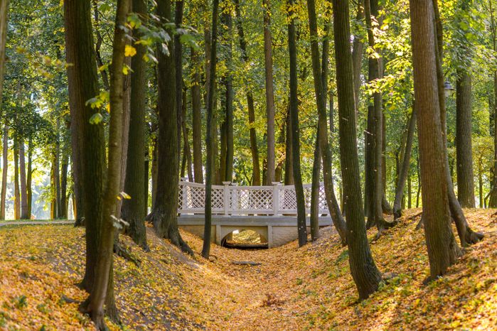 Воскресенск. Парк усадьбы Кривякино