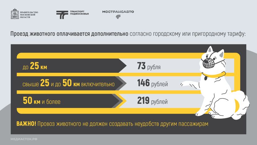 Правила перевозки животных горизонталь 06