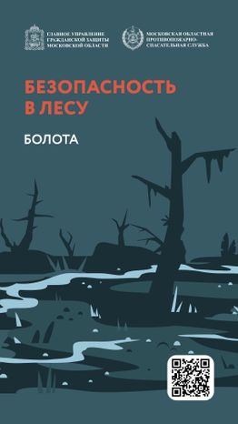 Болото-Вертикаль-01.jpg