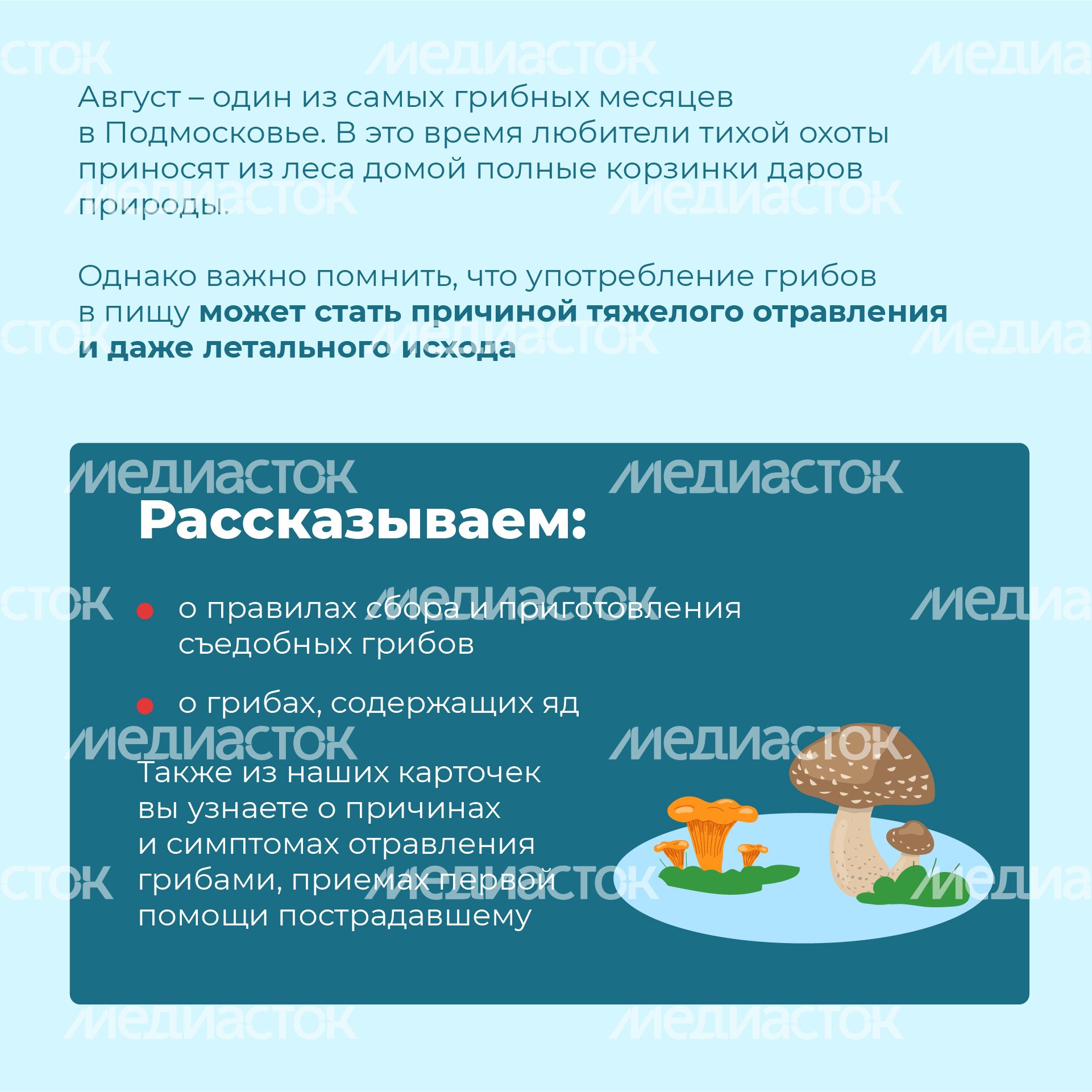 08 Квадрат_грибы_02-100