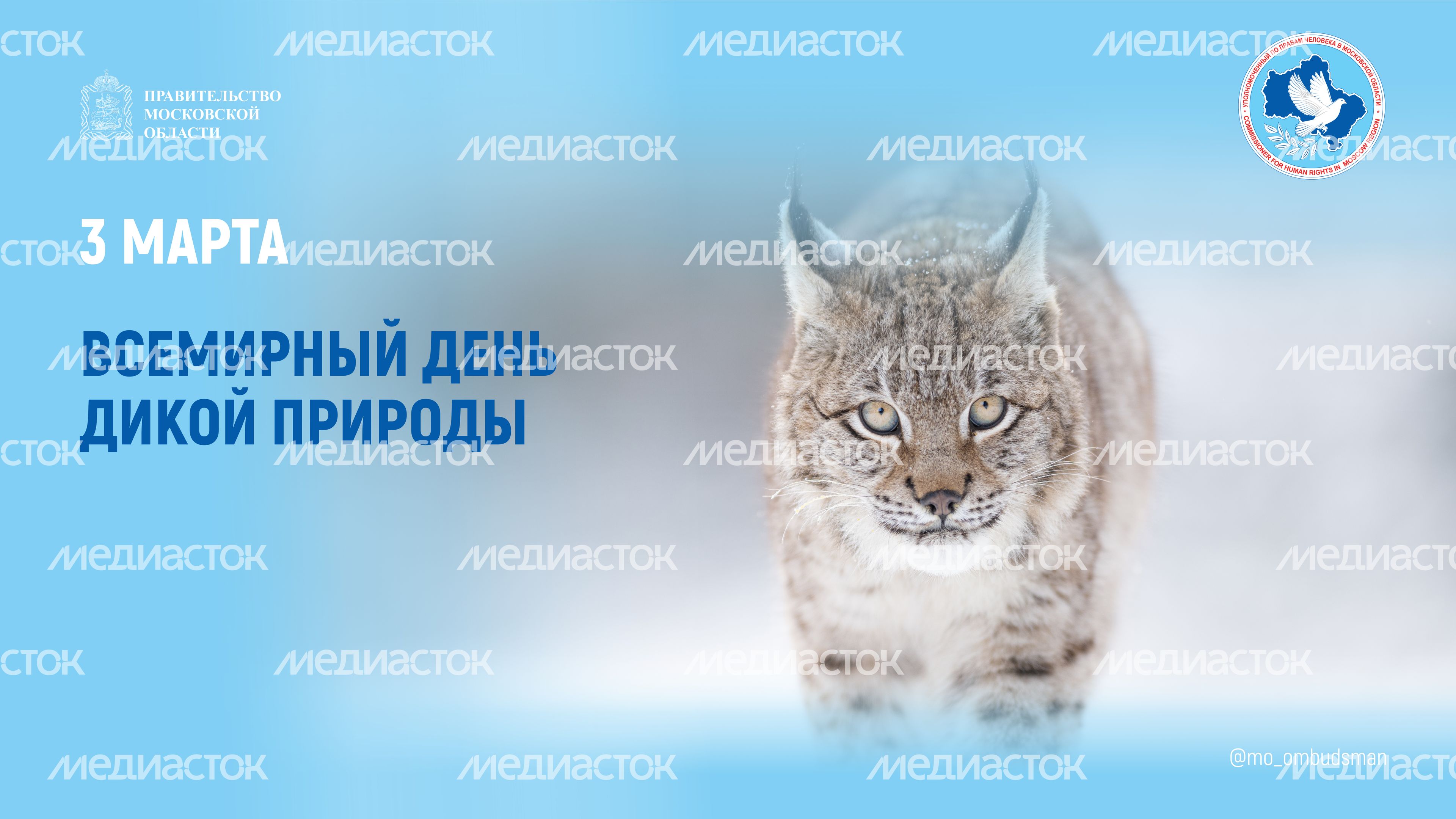 открытка-3 марта-горизонталь-01