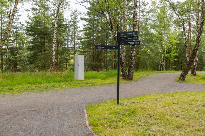 Указатель на дорожке в лесопарке «Волкуша» в Лыткарино