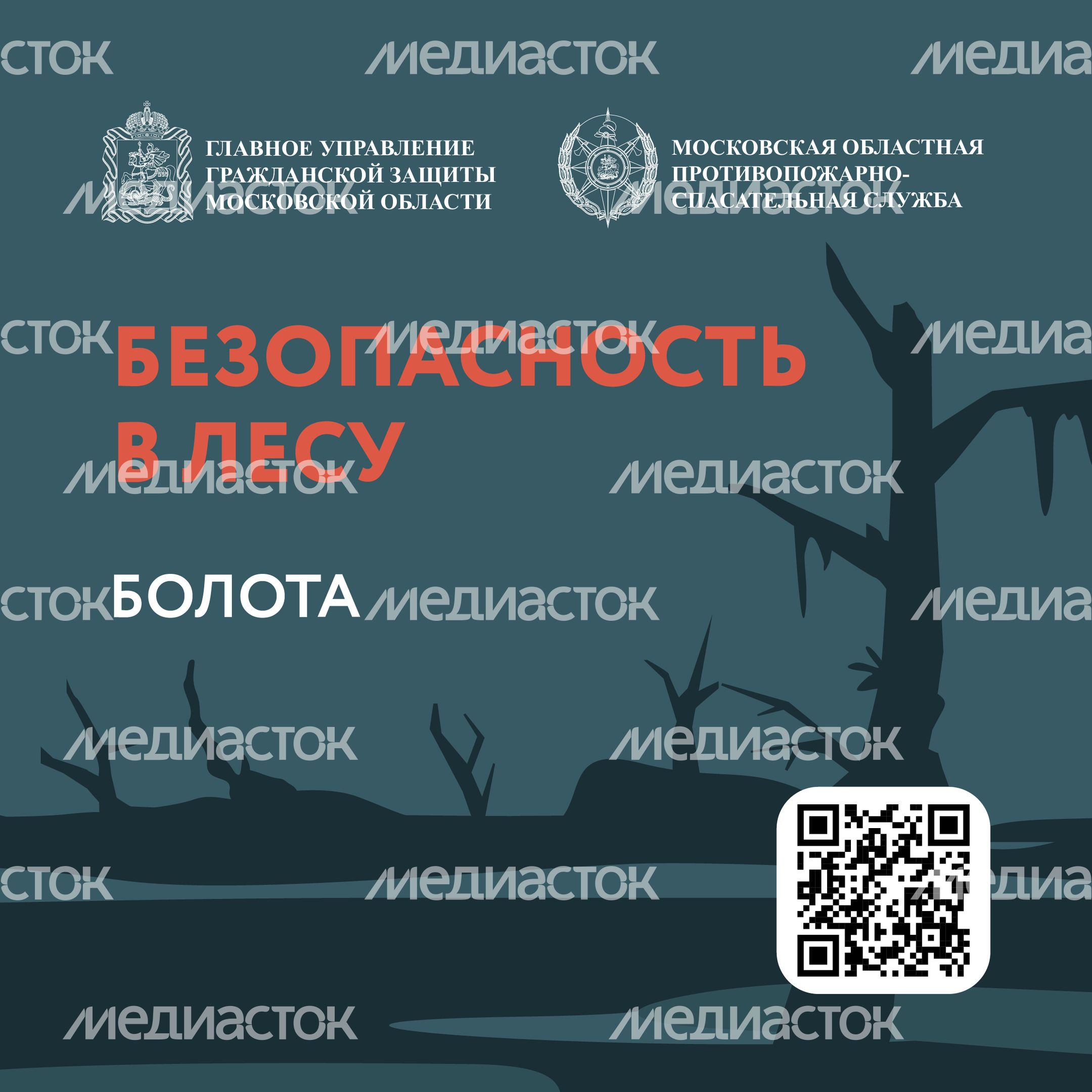 Болото-Квадрат-01.jpg