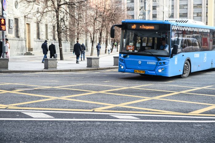 Вафельная разметка на улицах Москвы