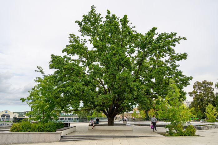 Площади Победы в Ногинске Богородского округа