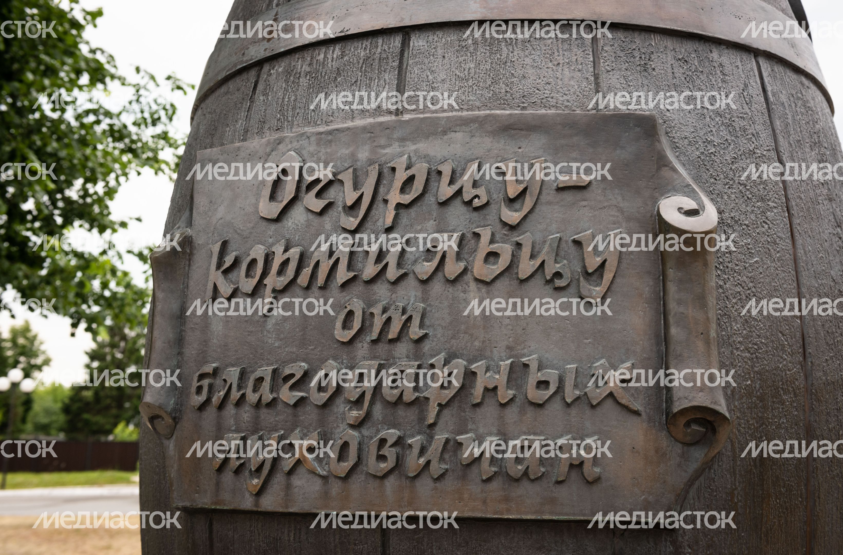 Виды города Луховицы