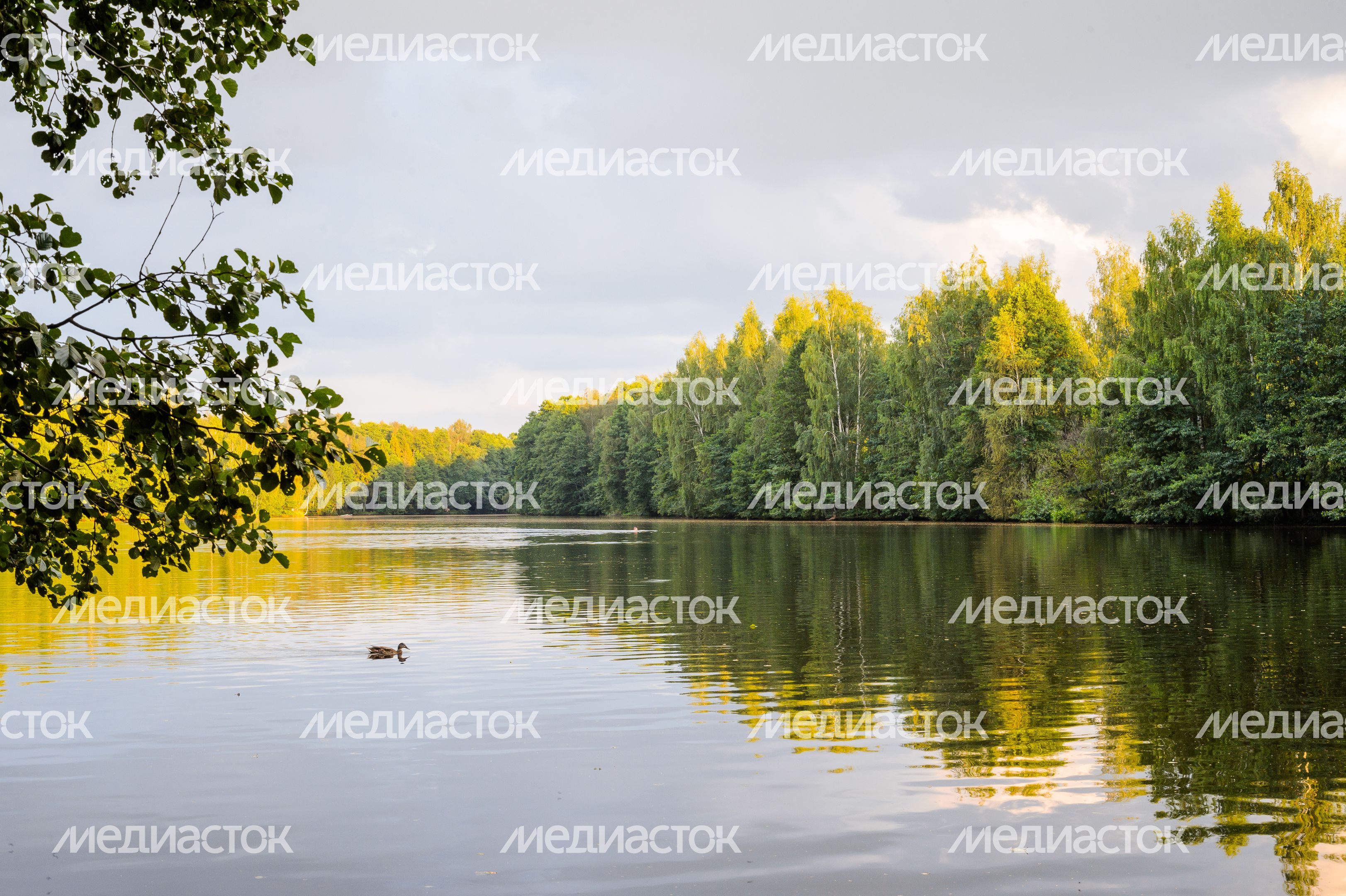 Горокруг Черноголовка. Летние виды реки Черноголовки