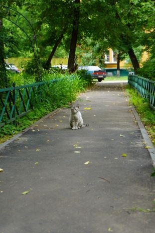 Виды города Люберцы