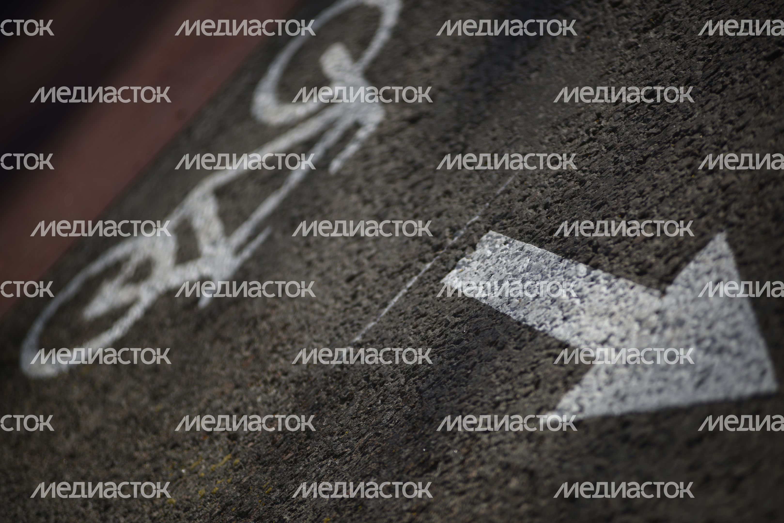 Велодорожка на Тверском бульваре в Москве Велодорожка на Тверском бульваре в Москве