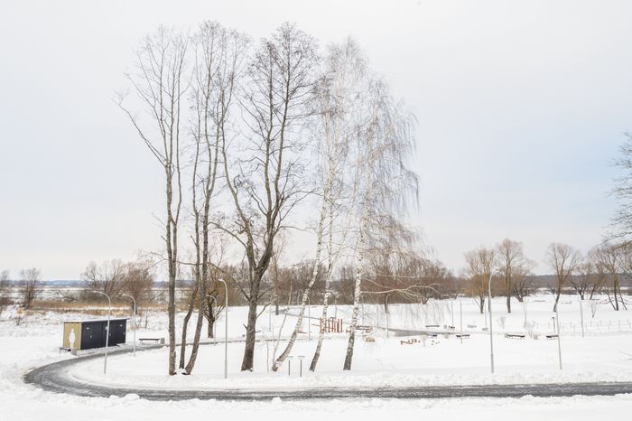 Бронницы. Парк «Бронницкий луг». Зима