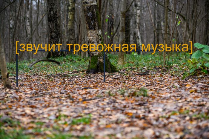 Арт-объект «Субтитры» группы «МишМаш» в парке Малевича