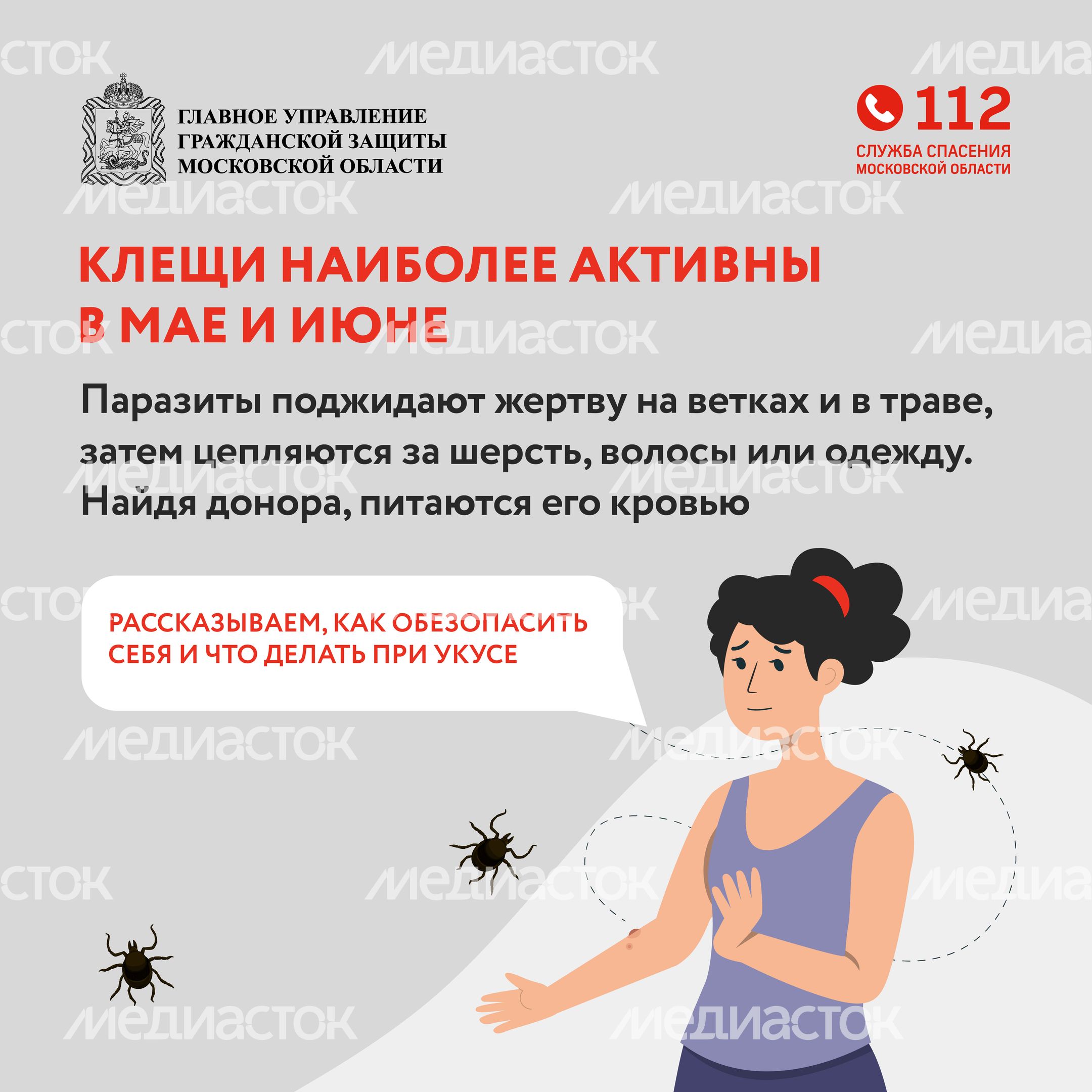 клещи_квадрат_02