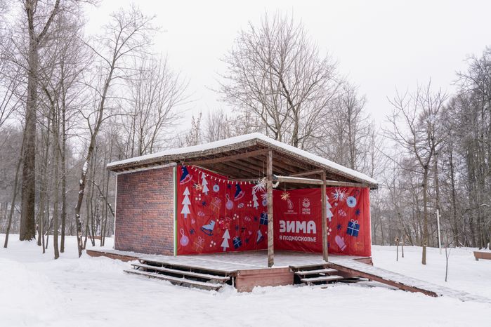 Истринский городской парк зимой