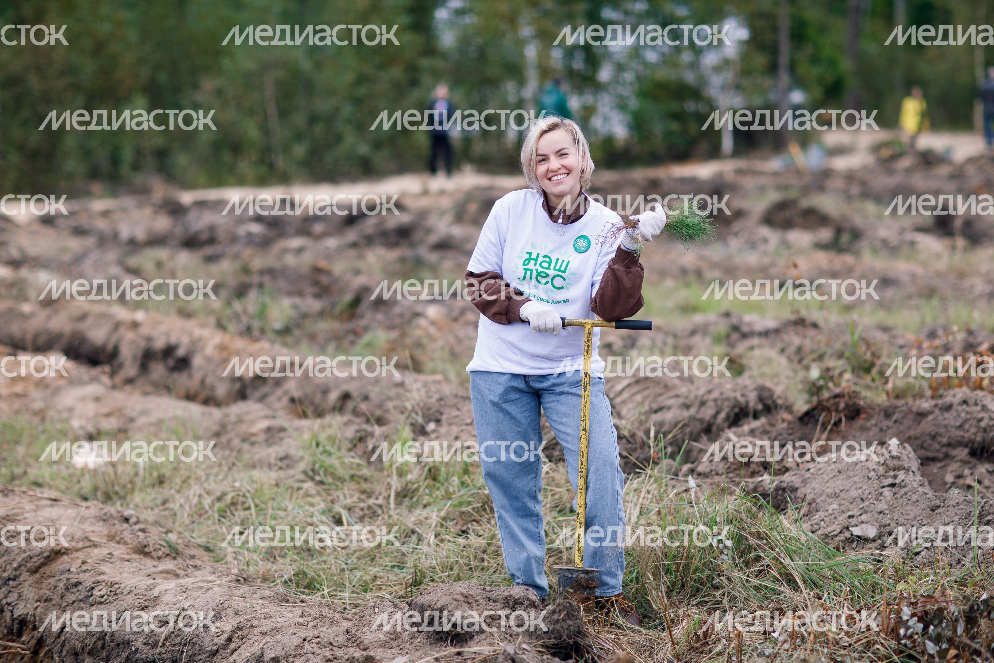 Богородский г.о. Наш лес. Посади свое дерево, сентябрь 2023 г. Богородский г.о. Наш лес. Посади свое дерево, сентябрь 2023 г.