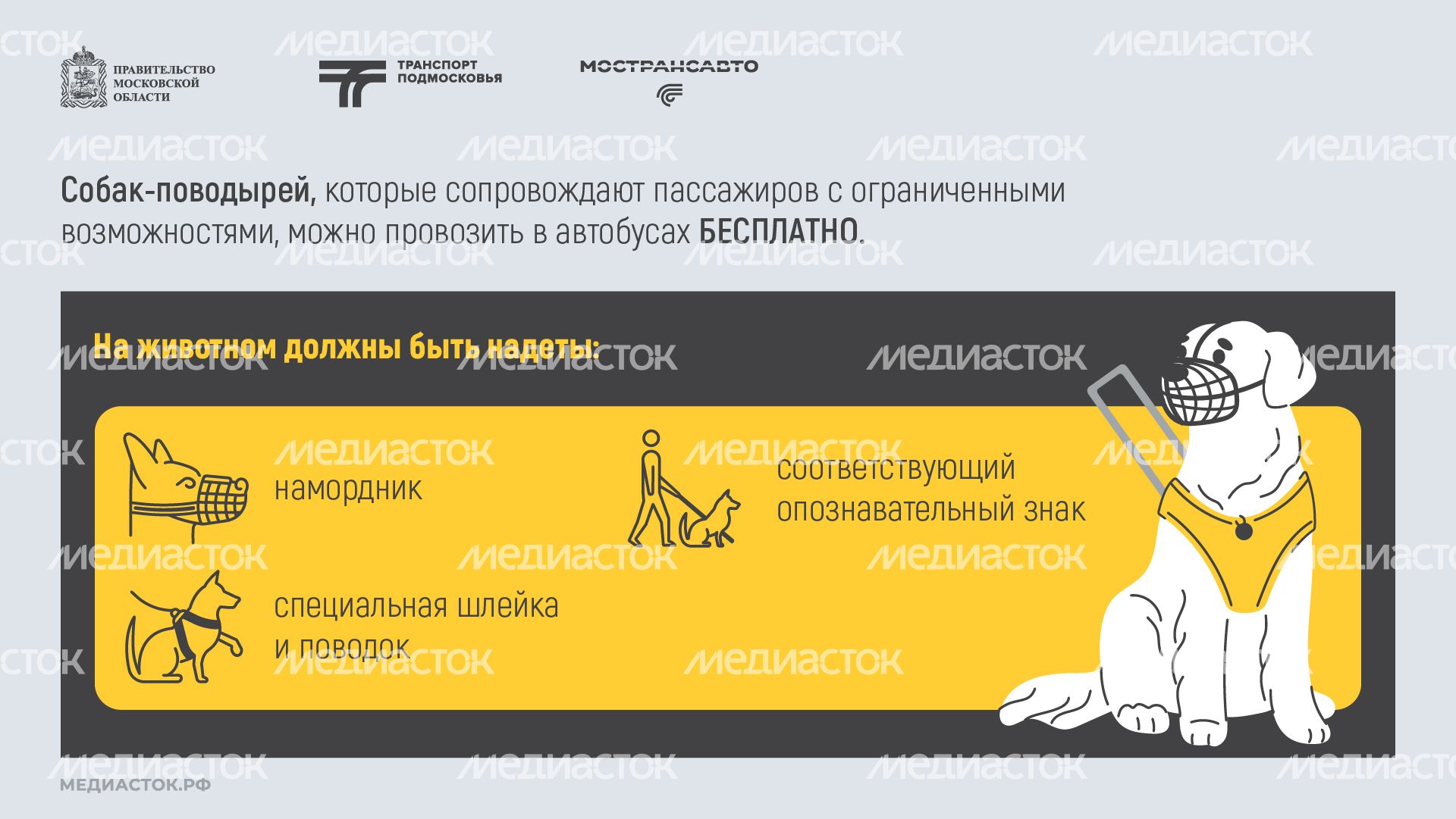 Правила перевозки животных горизонталь 03