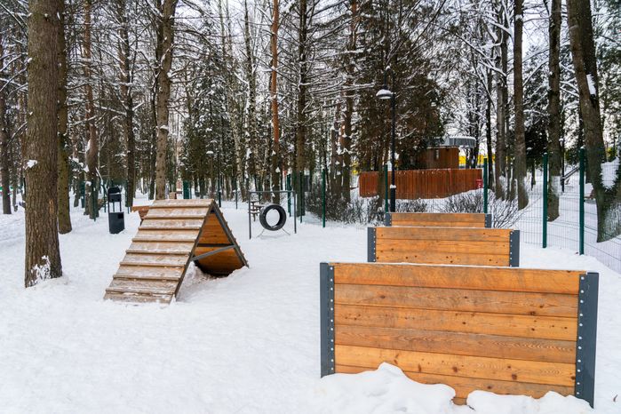 Площадка для выгула животных в городском парке «Гучково» в Дедовске округа Истра