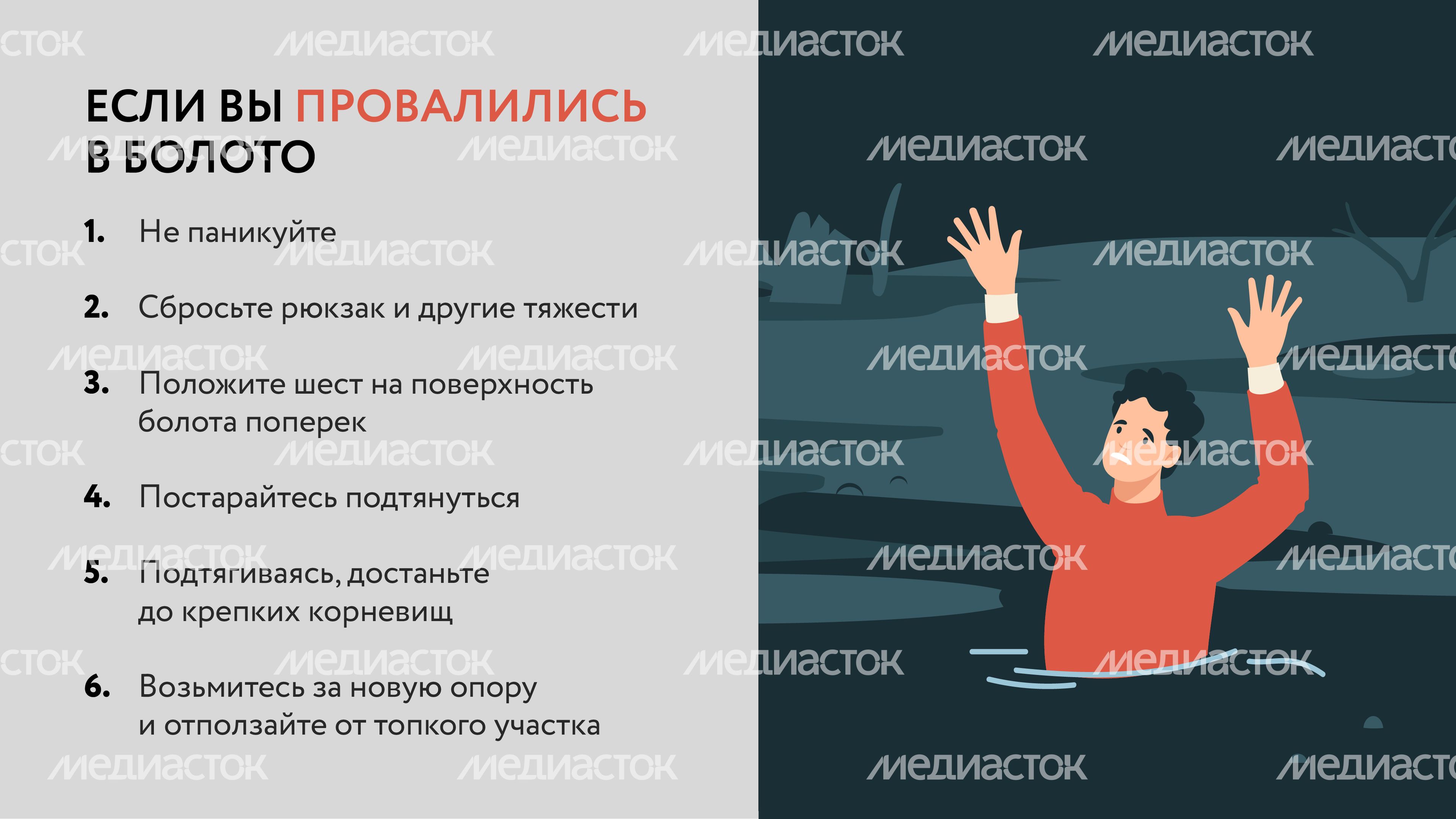 Болото-Горизонталь-06.jpg