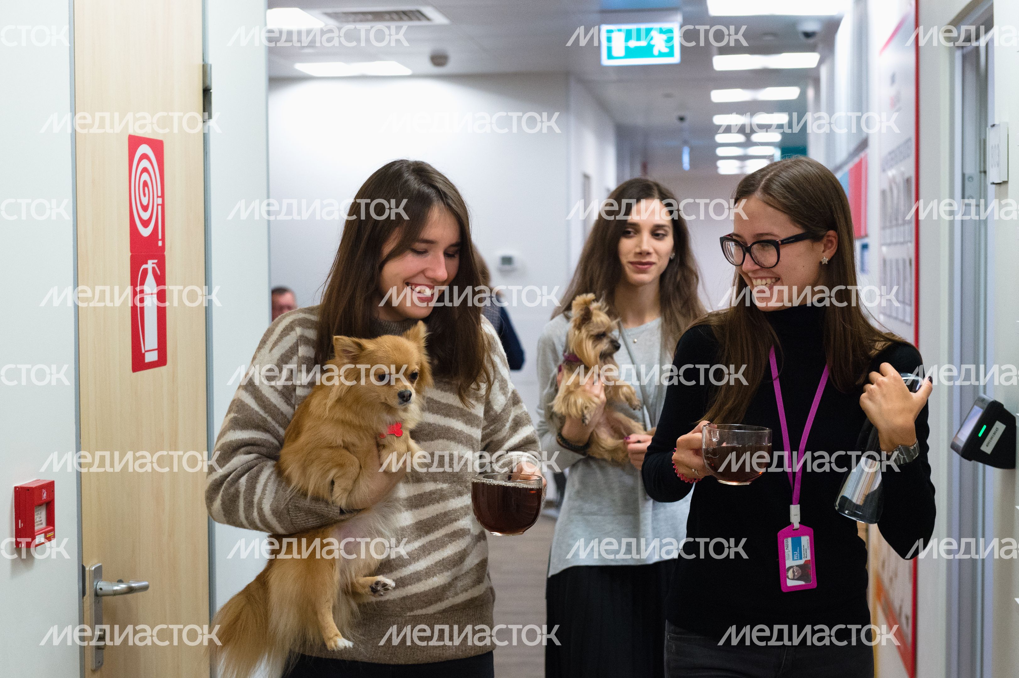 Pet‑friendly офис Purina