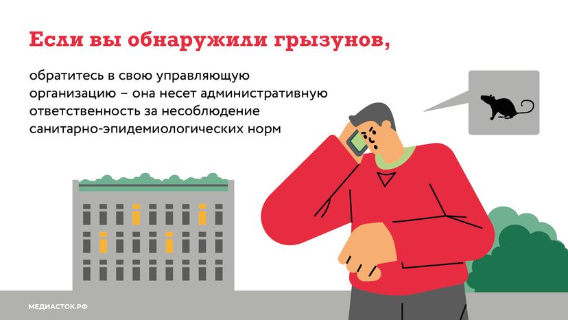 Крысы в МКД горизонталь (6)