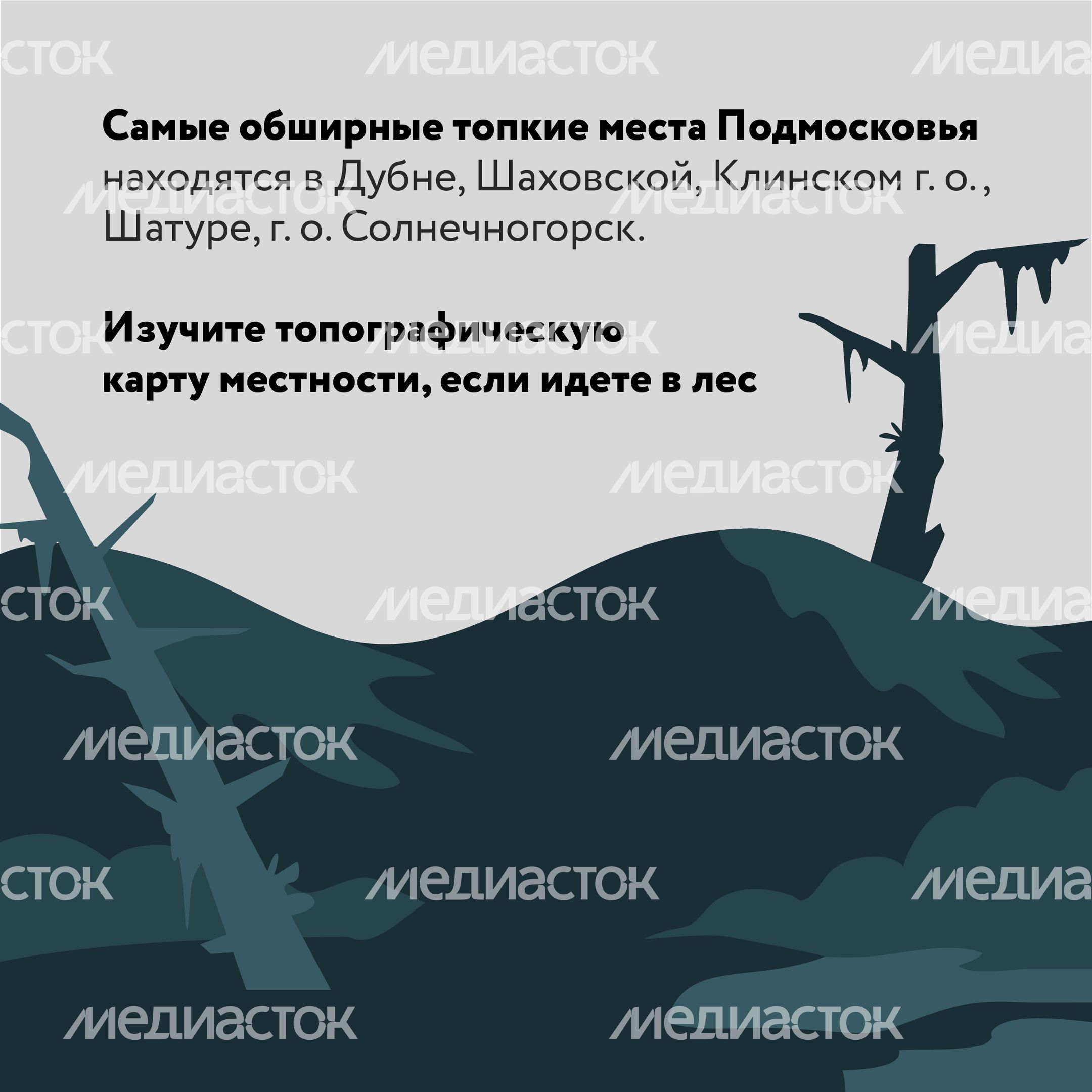 Болото-Квадрат-03.jpg