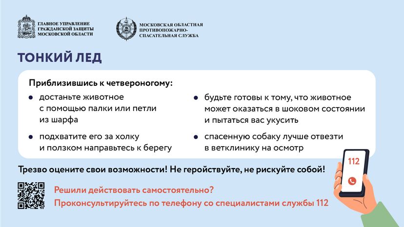 помощь усатым - горизонталь - 06