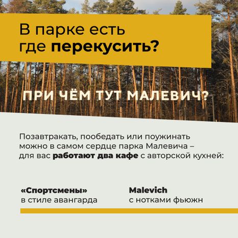 Парк Малевича-20.jpg