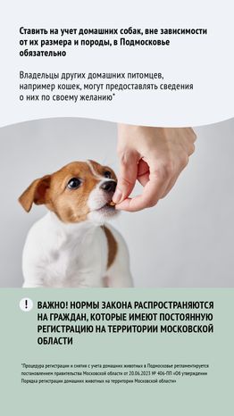 Зарегистрировать домашнее животное ред 2-вертикаль-03.png