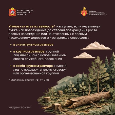 Незаконная рубка квадрат 06