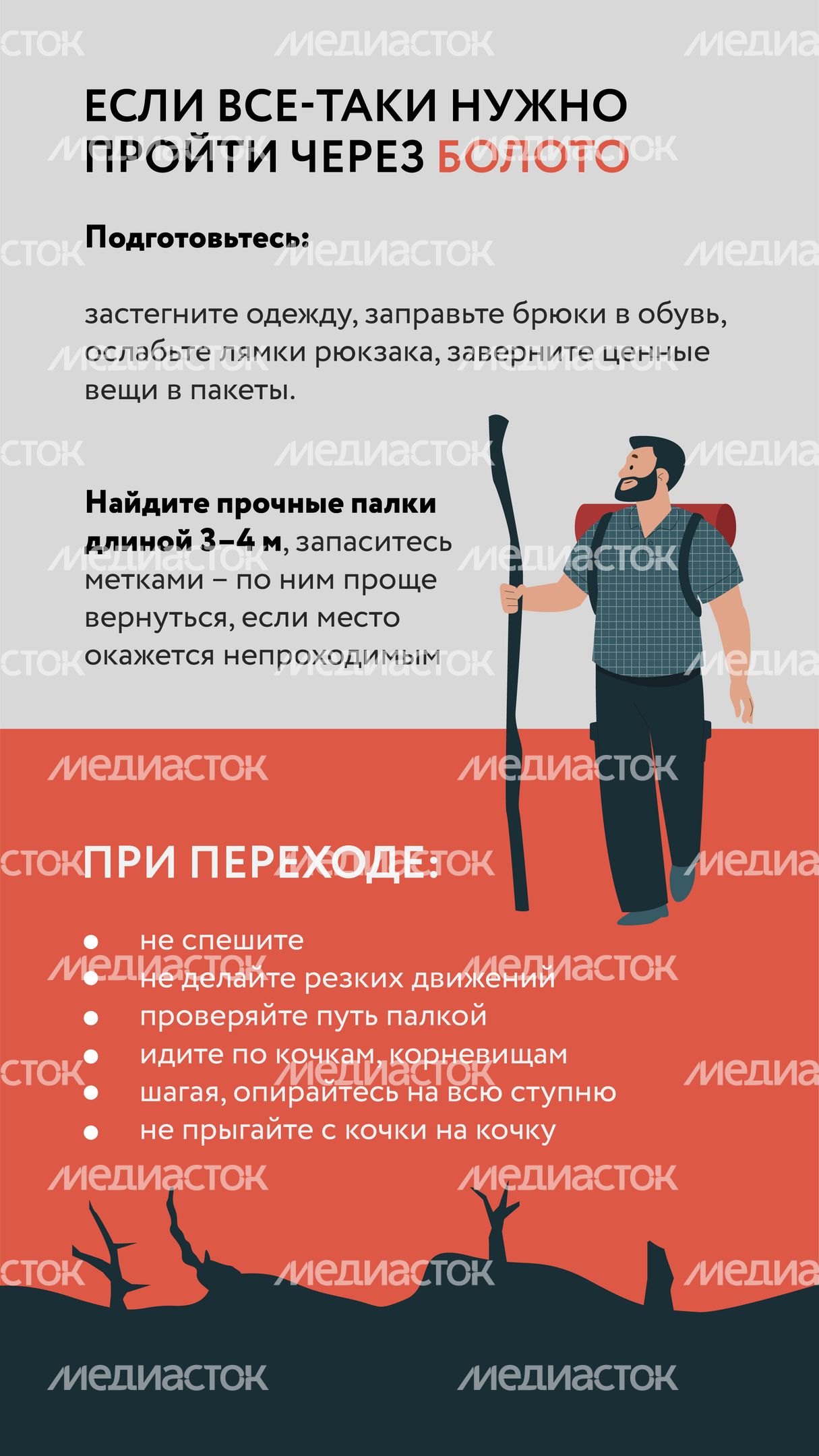 Болото-Вертикаль-05.jpg