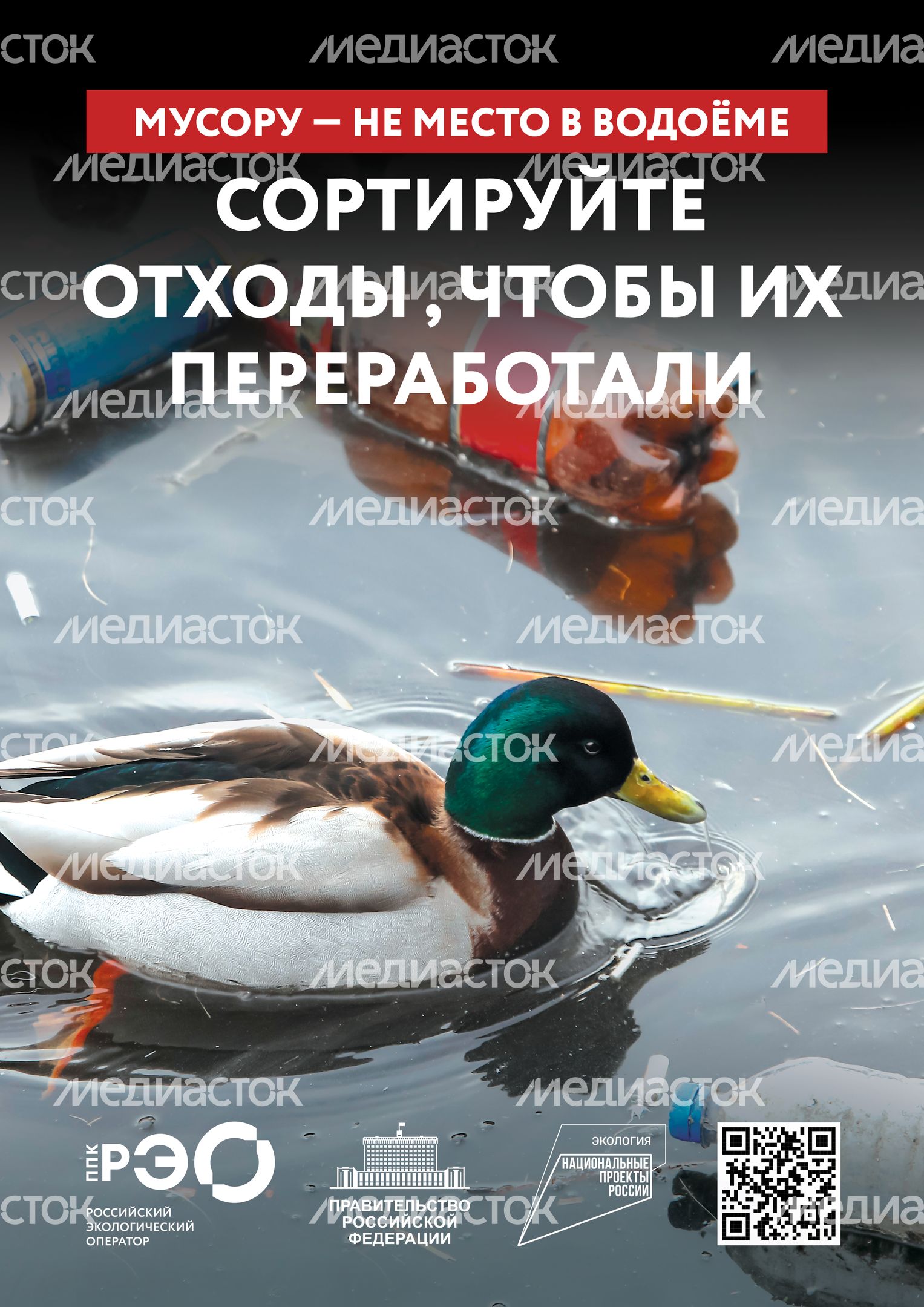 Seria 9 animal poster _A2_2