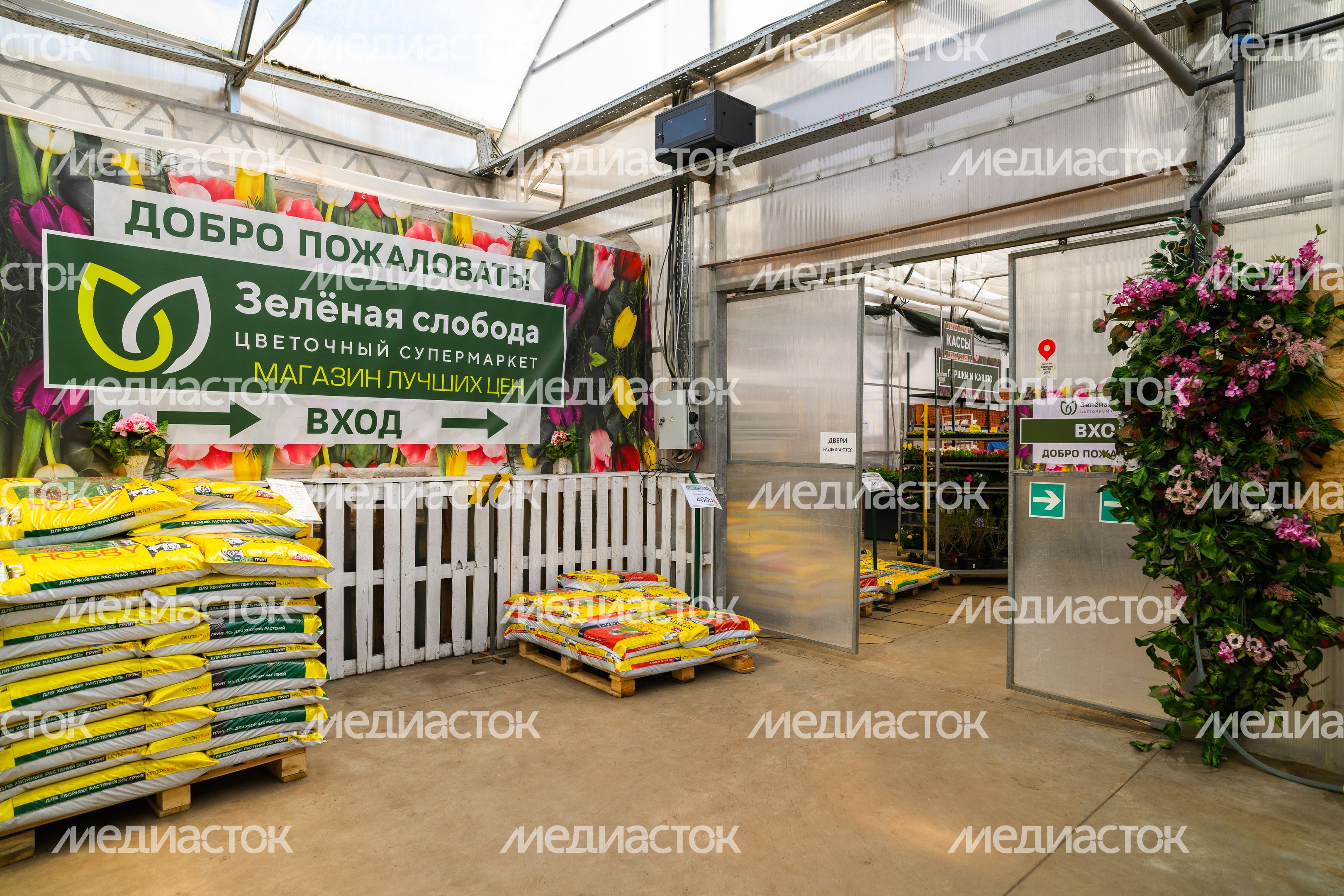 Рассада и цветы в горшках в садовом центре агрокомплекса «Цветком» в Раменском округе Рассада и цветы в горшках в садовом центре агрокомплекса «Цветком» в Раменском округе