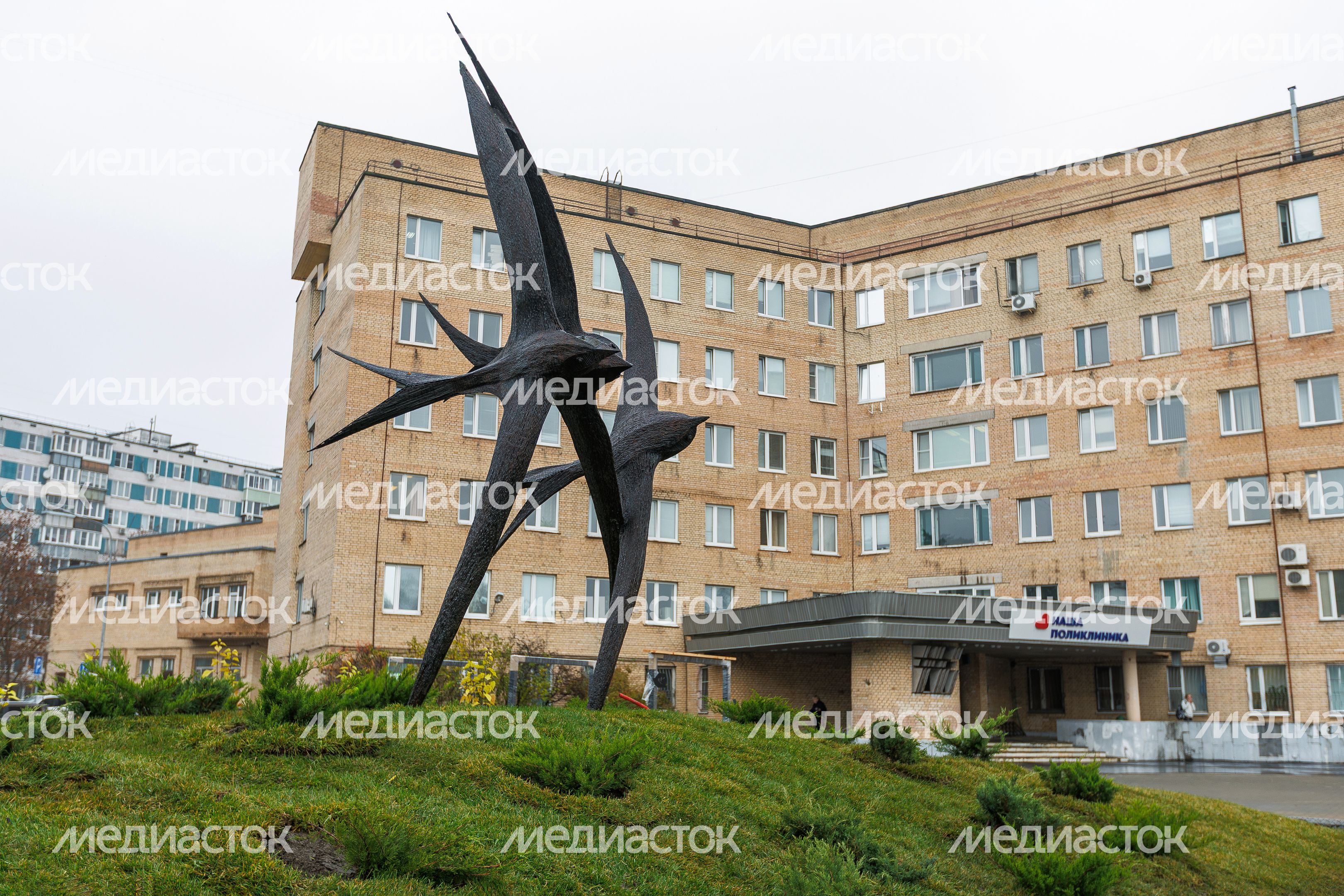 Скульптура ласточек у поликлиники в Черноголовке осенью Скульптура ласточек у поликлиники в Черноголовке осенью