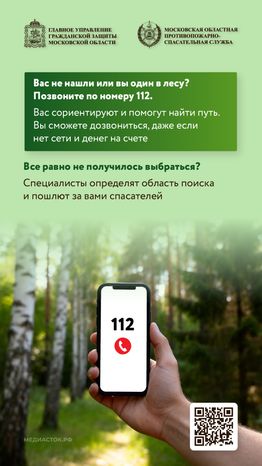Как подготовиться к походу в лес вертикаль 05