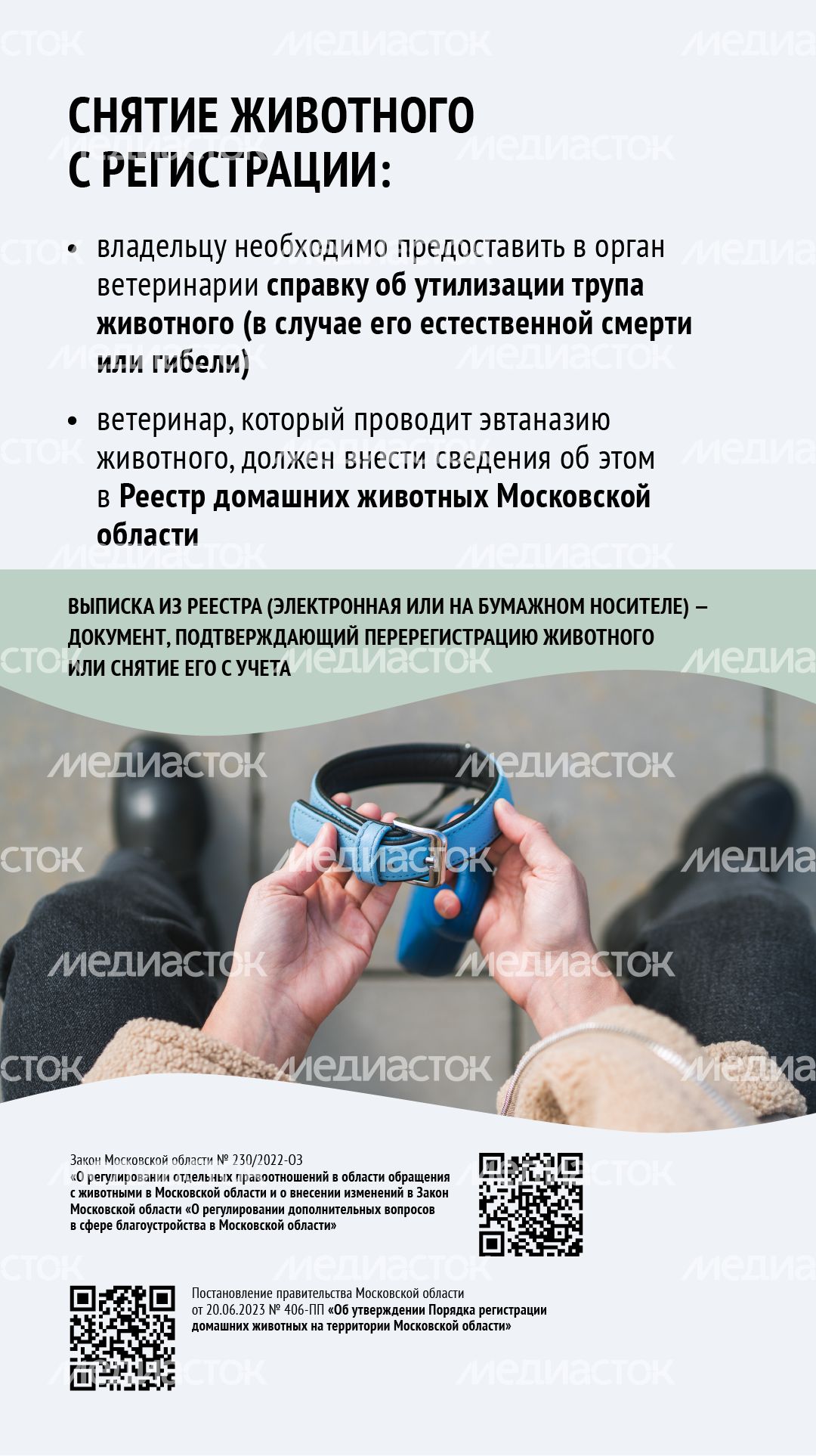 Зарегистрировать домашнее животное ред 2-вертикаль-10.png