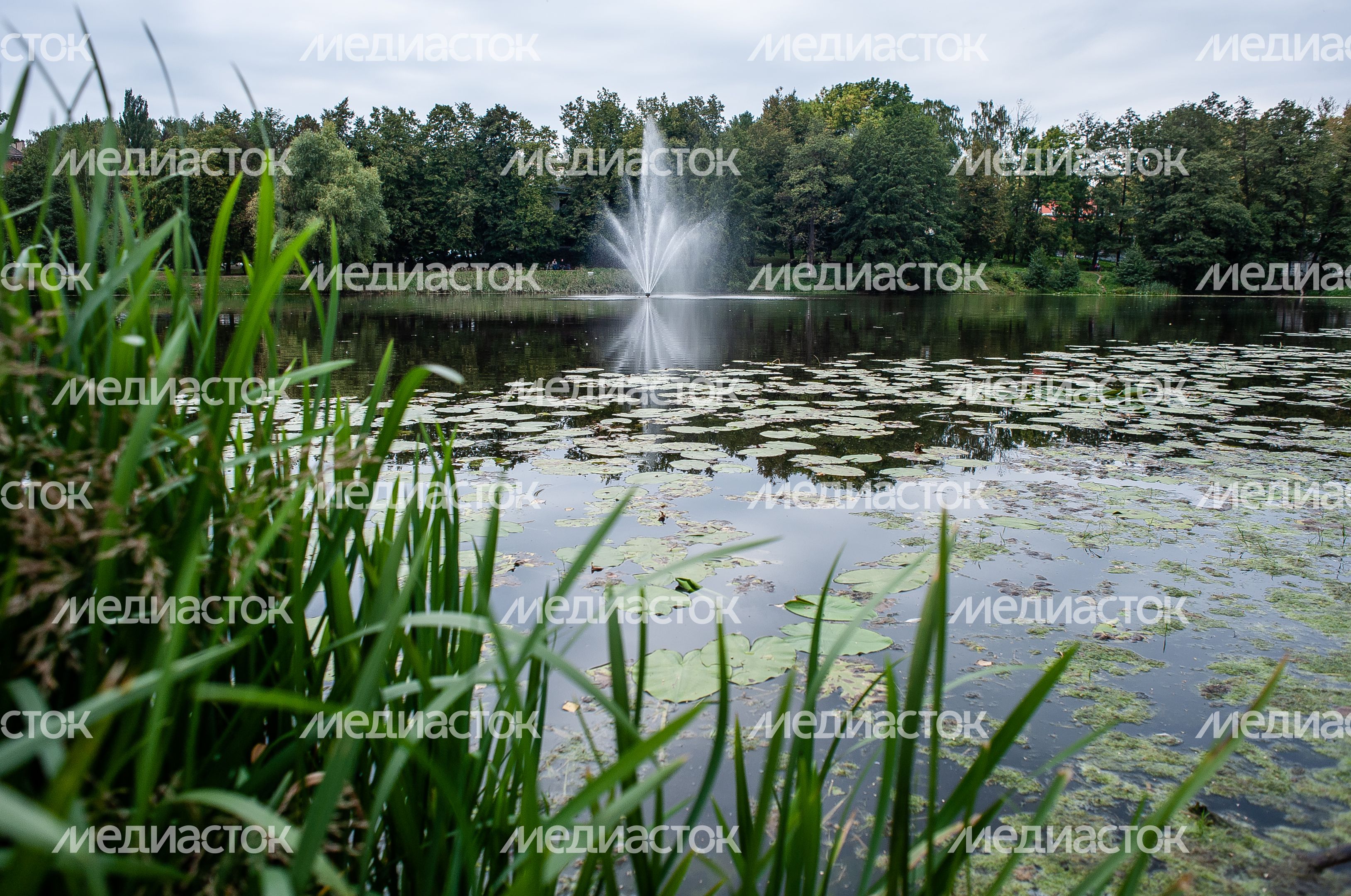 Виды города Дзержинского