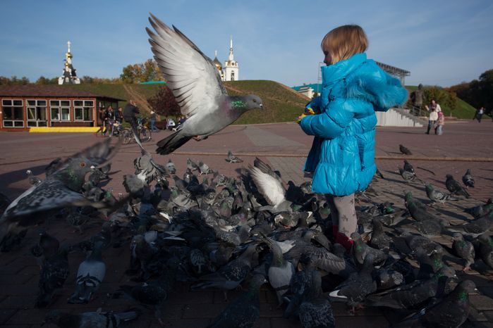 Девочка кормит голубей