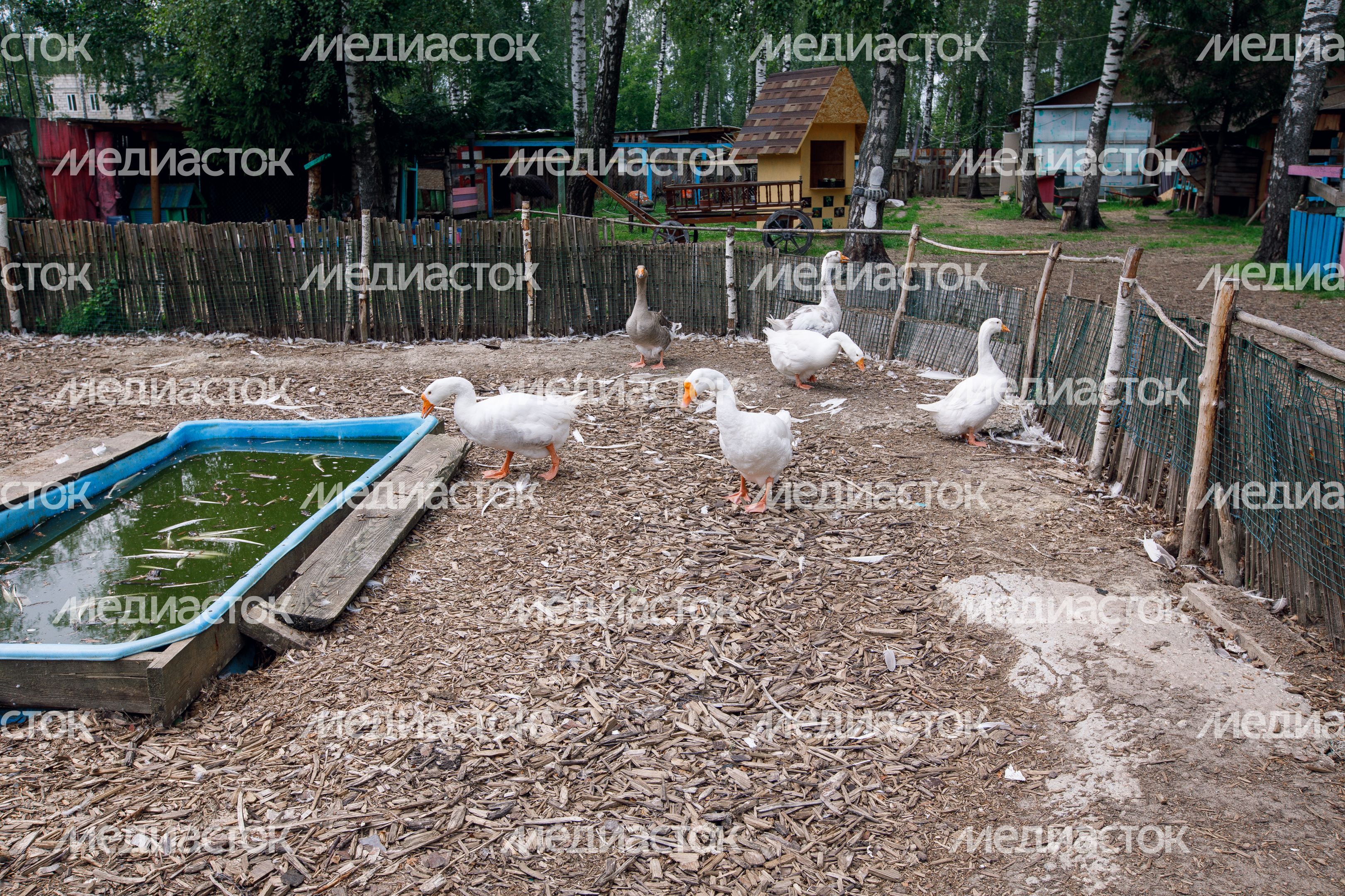 Домодедово. Музей Сказок Домодедово. Музей Сказок