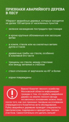 Аварийные деревья