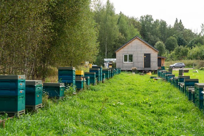 Пасека «Золино» на территории усадьбы Золино-Никольское в Клину