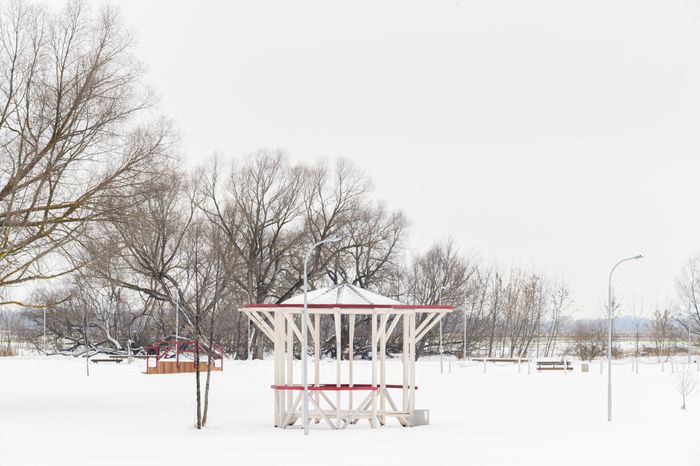 Бронницы. Парк «Бронницкий луг». Зима