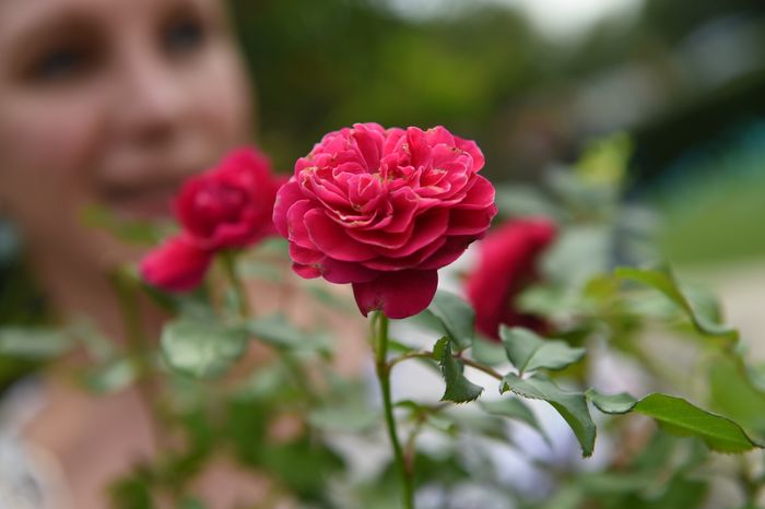 Открытие фестиваля садов и цветов Moscow Flower Show в парке «Музеон» в Москве