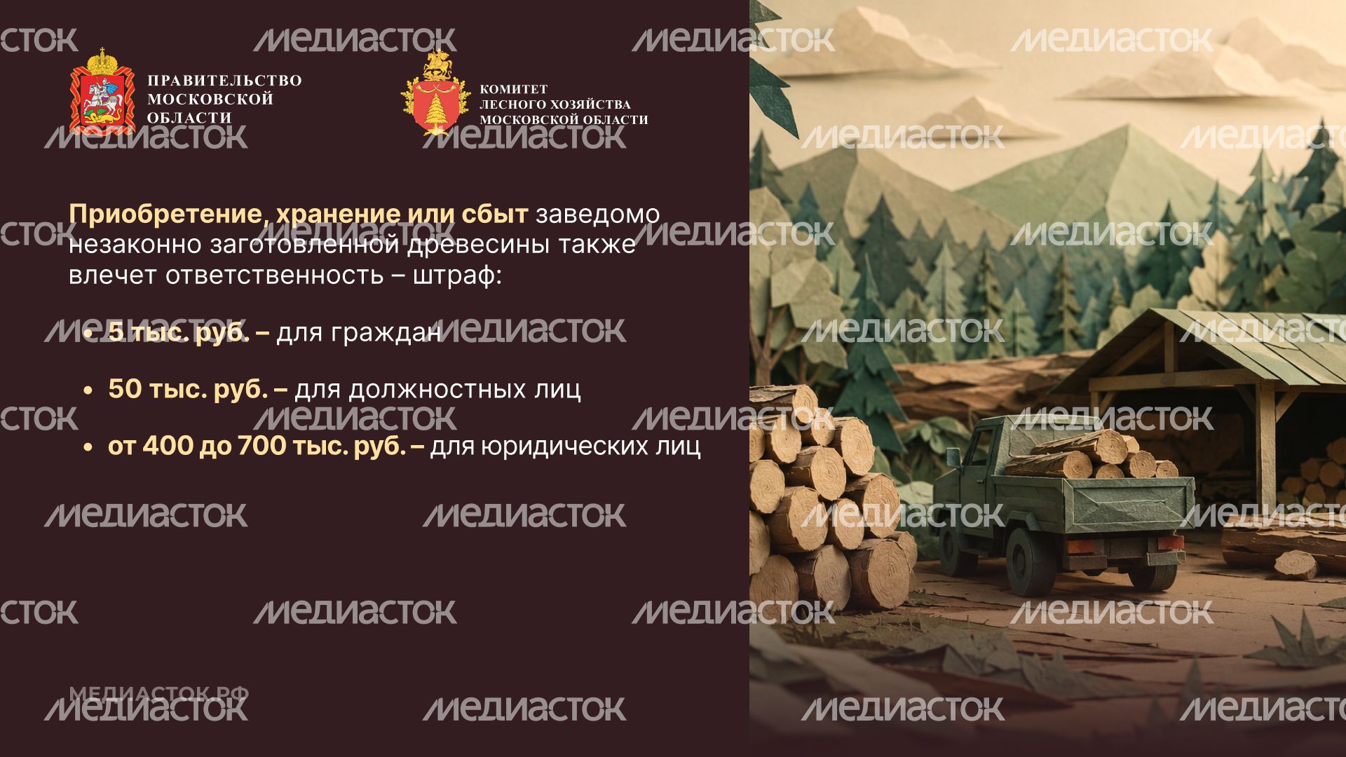 Незаконная рубка горизонталь 05