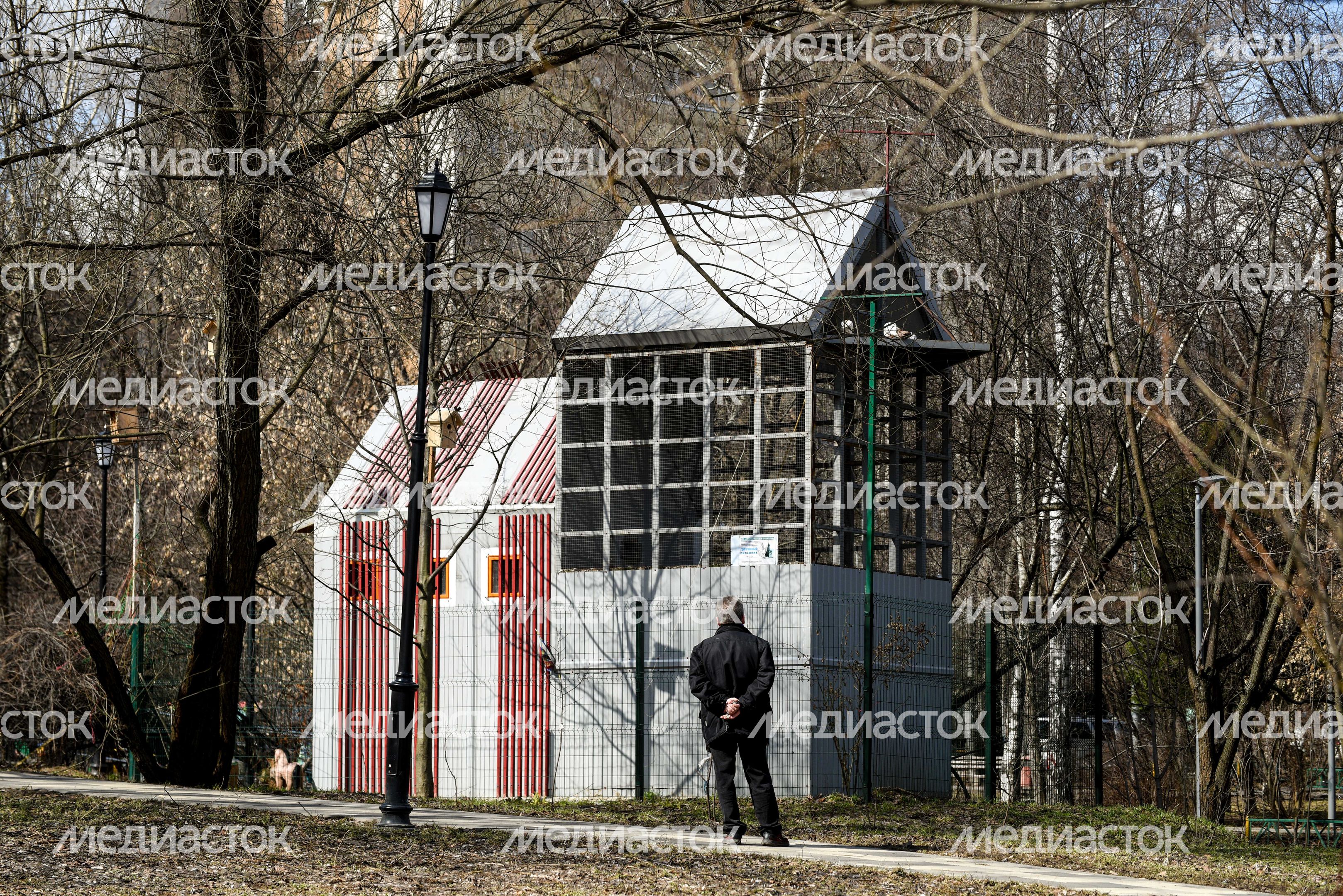 Голубятня в Москве Голубятня в Москве